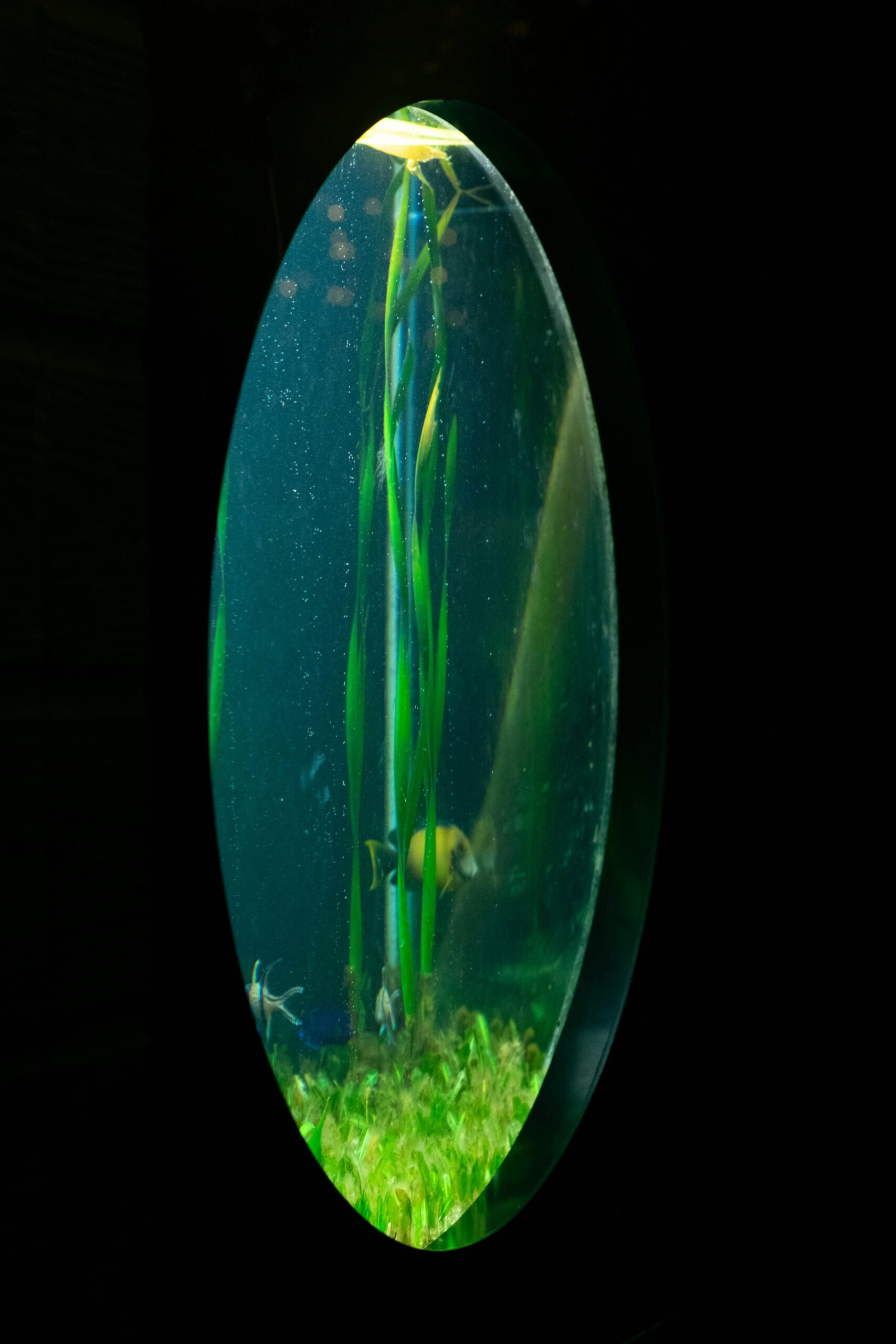 Hello world!